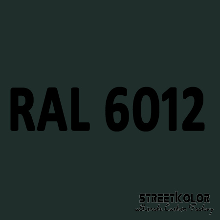 RAL 6012 Akril autófesték fényes vagy matt 1 liter + fixáló + hígító