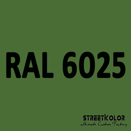 RAL 6025 Akril autófesték fényes vagy matt 1 liter + fixáló + hígító